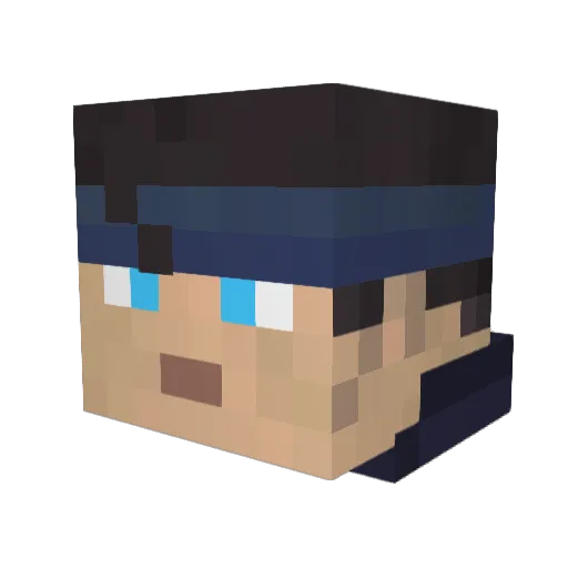ANewTolay Minecraft avatar head, 3D render