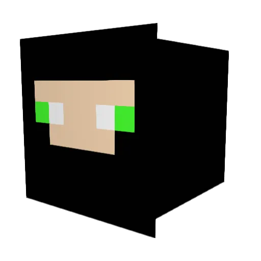 ANewbiesGuide Minecraft avatar head, 3D render