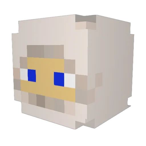 ANormleGuy Minecraft avatar head, 3D render