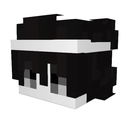AOAEO Minecraft avatar head, 3D render