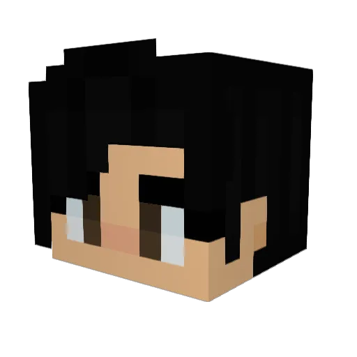 AOE_Decade Minecraft avatar head, 3D render