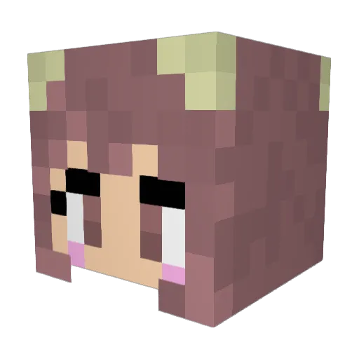 AOI0804 Minecraft avatar head, 3D render