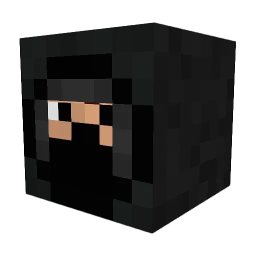AONenemyassassin Minecraft avatar head, 3D render