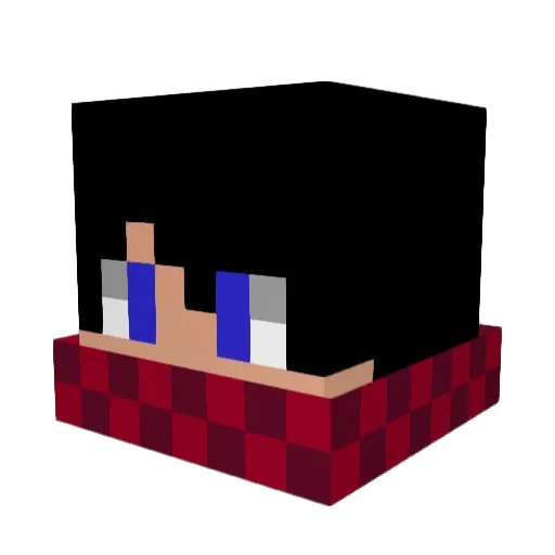 AOOOOOONI Minecraft avatar head, 3D render