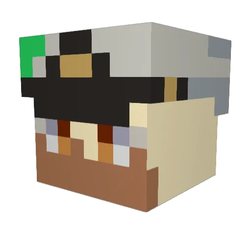 AOUTF Minecraft avatar head, 3D render