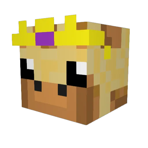 AO_Developer Minecraft avatar head, 3D render