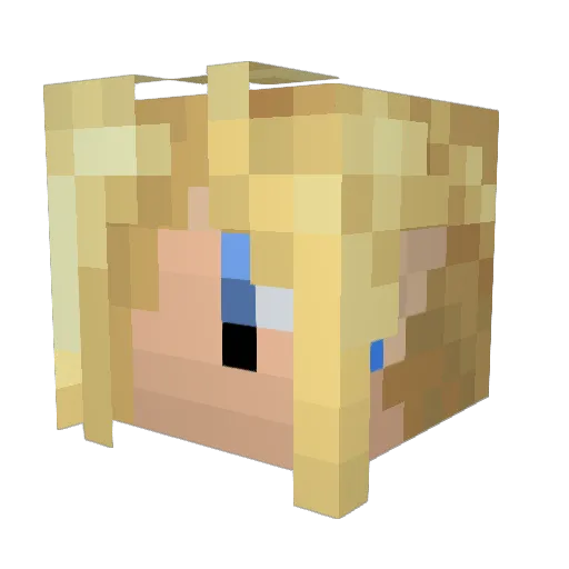 APG_2908 Minecraft avatar head, 3D render