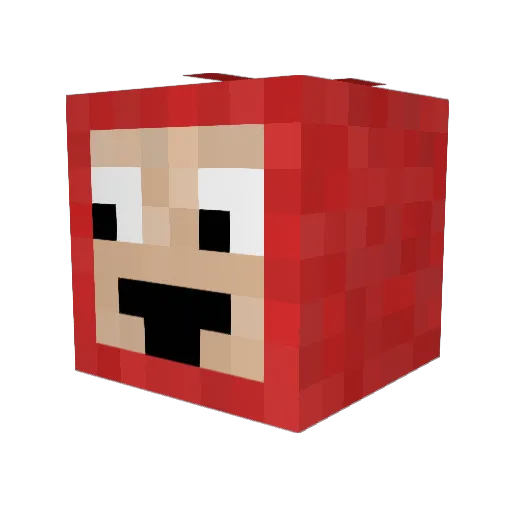 APINCHOFSALT Minecraft avatar head, 3D render