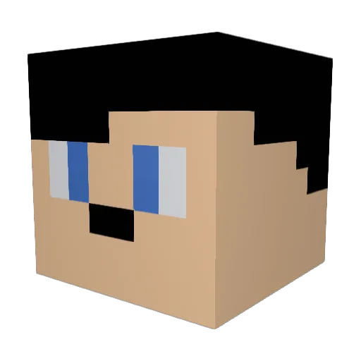 APPA___ Minecraft avatar head, 3D render