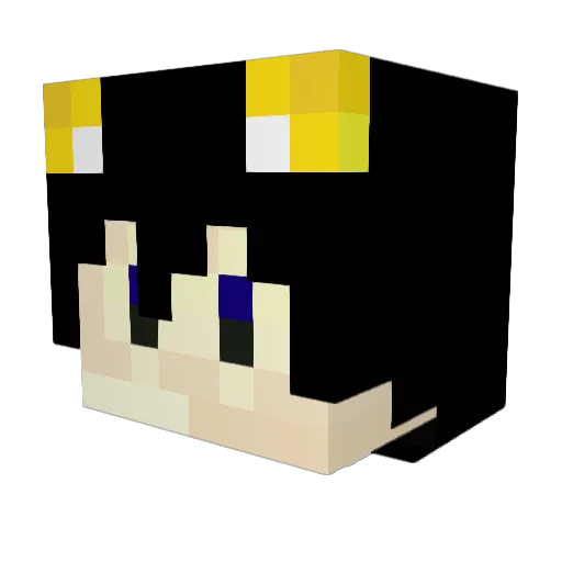 APWDOG Minecraft avatar head, 3D render