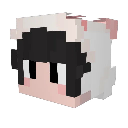 APXIAOE Minecraft avatar head, 3D render