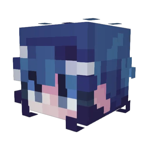 APaleRose Minecraft avatar head, 3D render