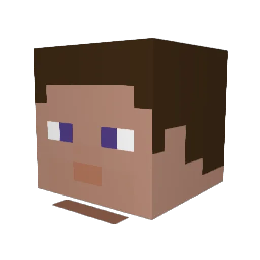 APawnNamedSean Minecraft avatar head, 3D render
