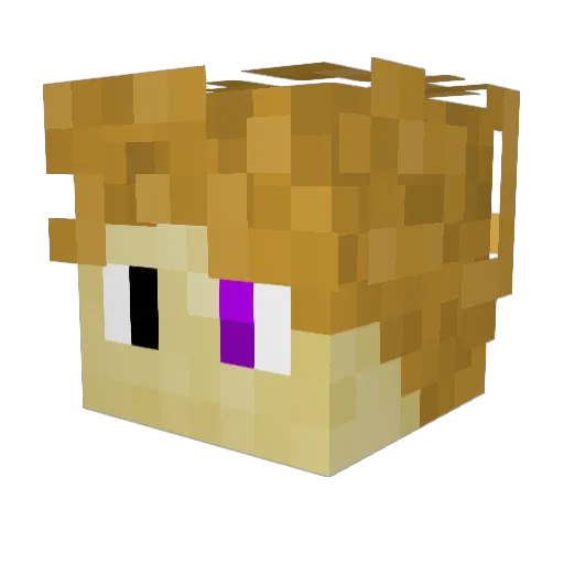 APerson500 Minecraft avatar head, 3D render