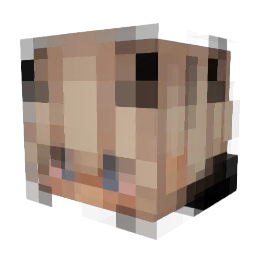 APleasurePlunger Minecraft avatar head, 3D render