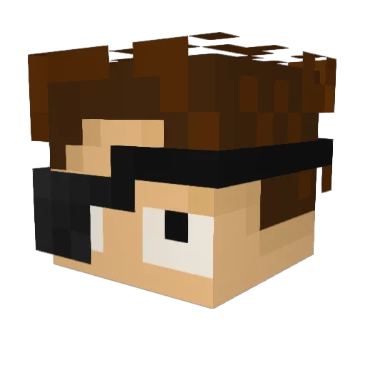 APoorCat Minecraft avatar head, 3D render
