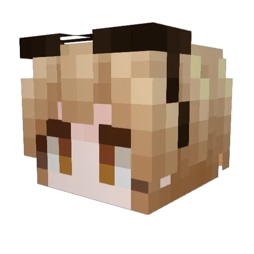 AQINGgg Minecraft avatar head, 3D render