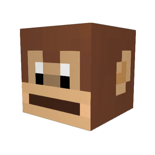 AR11YAN Minecraft avatar head, 3D render
