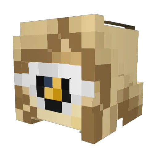 AR4nd0mGamer Minecraft avatar head, 3D render