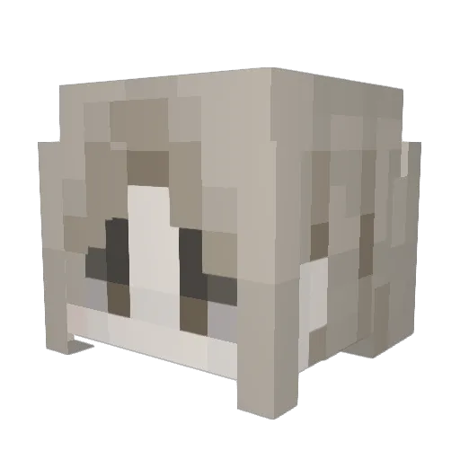 ARC4N4 Minecraft avatar head, 3D render