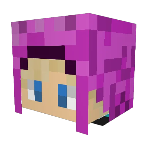 ARCTICARG627 Minecraft avatar head, 3D render