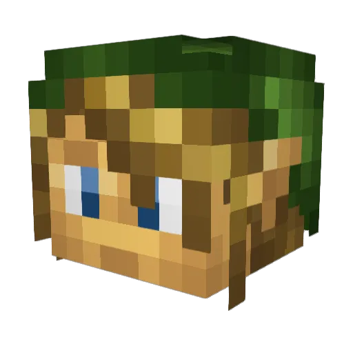 ARC_TrooperEcho Minecraft avatar head, 3D render