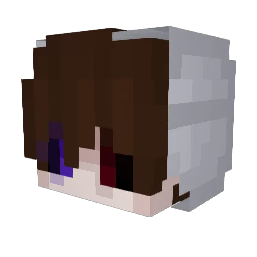 ARDAPRO48 Minecraft avatar head, 3D render