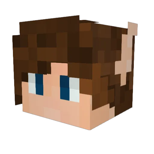 ARGIELL Minecraft avatar head, 3D render