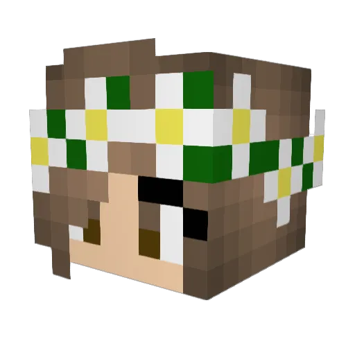 ARIANA_CURRY Minecraft avatar head, 3D render