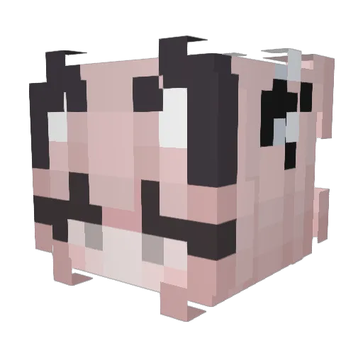 ARINELLA21 Minecraft avatar head, 3D render