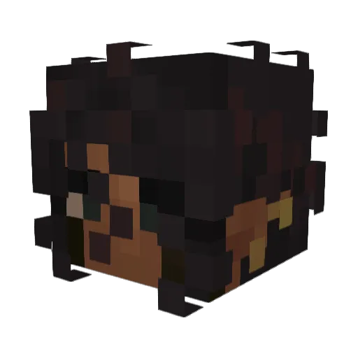 ARKASJELL Minecraft avatar head, 3D render