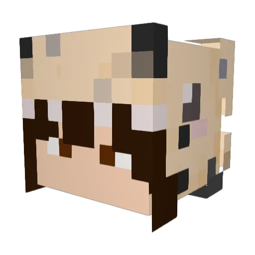 ARKV Minecraft avatar head, 3D render