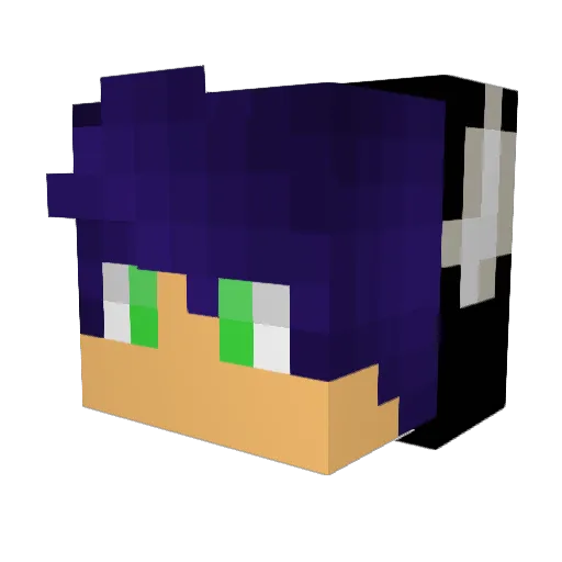 ARMYDOGGO2011 Minecraft avatar head, 3D render
