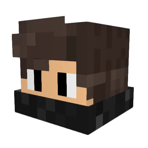 ARR0W0 Minecraft avatar head, 3D render