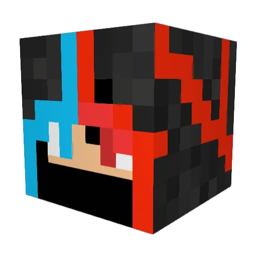 ARRISSE Minecraft avatar head, 3D render