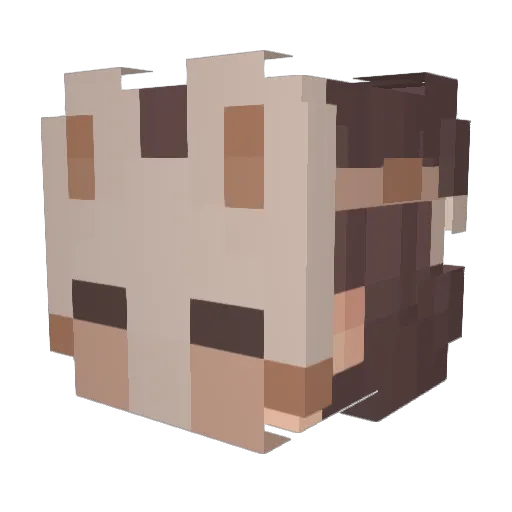 ARTNIM9 Minecraft avatar head, 3D render