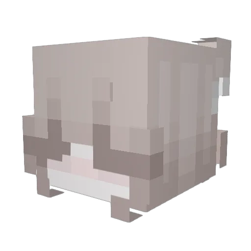 ARandomChezbul Minecraft avatar head, 3D render