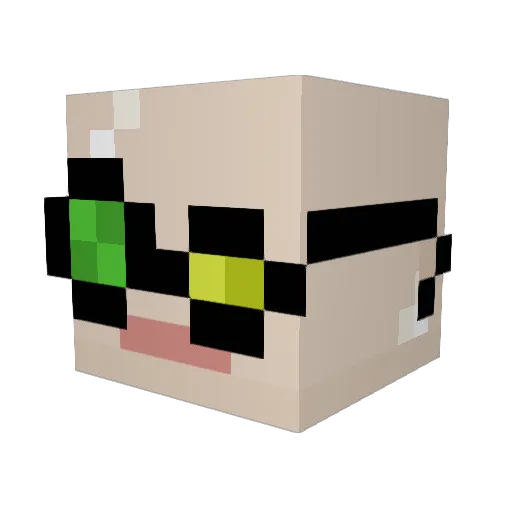 ARandomDingus Minecraft avatar head, 3D render