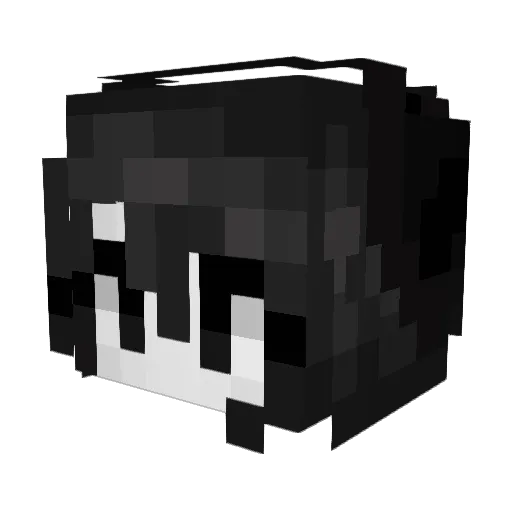 ARandomDuck Minecraft avatar head, 3D render