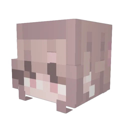ARandomSalmon Minecraft avatar head, 3D render