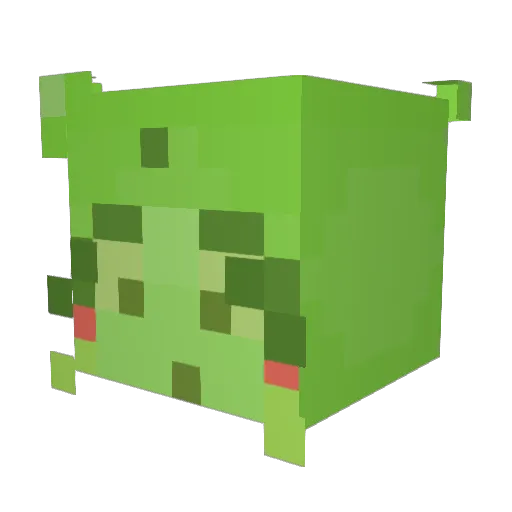 ARegularCat Minecraft avatar head, 3D render