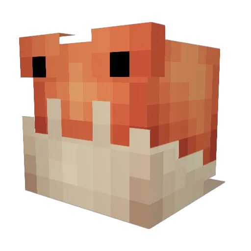 ARoadsideBear Minecraft avatar head, 3D render