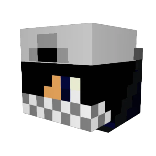 ASASSIN24 Minecraft avatar head, 3D render