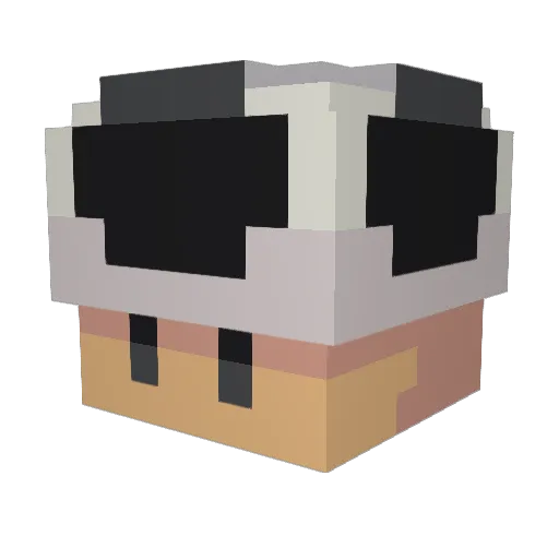 ASDASDAWDS Minecraft avatar head, 3D render