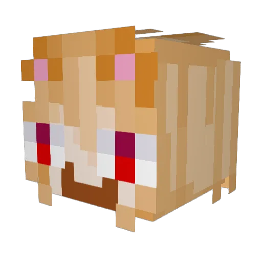 ASDFGTREF0880 Minecraft avatar head, 3D render