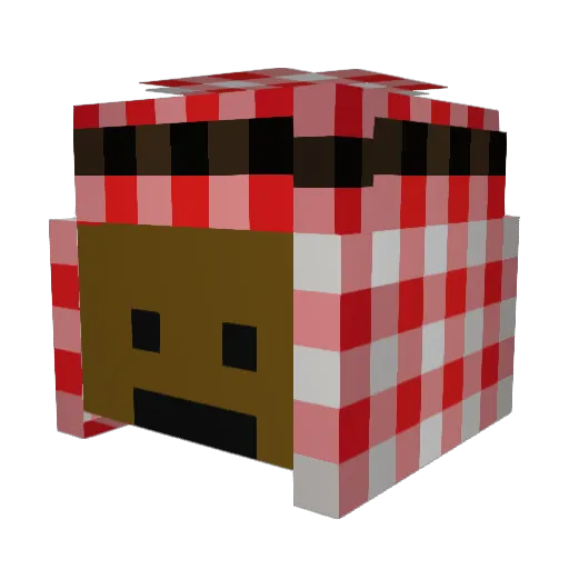 ASDFNKL Minecraft avatar head, 3D render