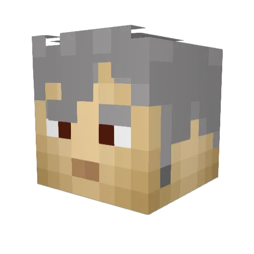 ASEDRGGGGGGGGG Minecraft avatar head, 3D render
