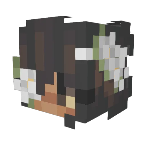 ASG724 Minecraft avatar head, 3D render