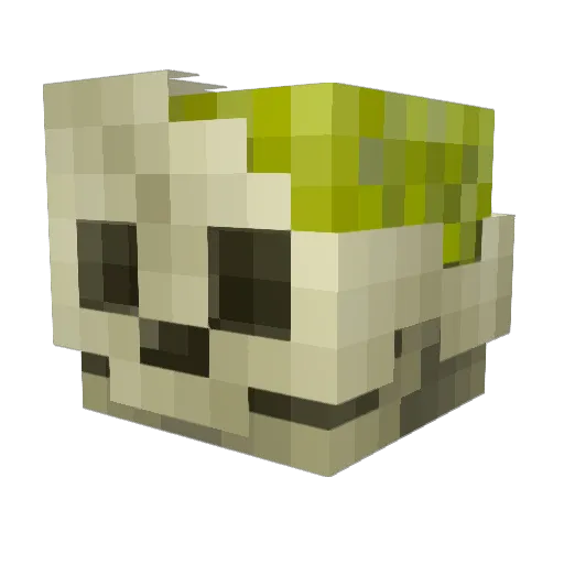 ASGC_ Minecraft avatar head, 3D render