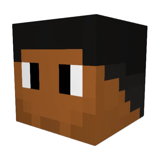 Minecraft-Avatar von ASHTXN_YT22: Kopf als 3D-Render